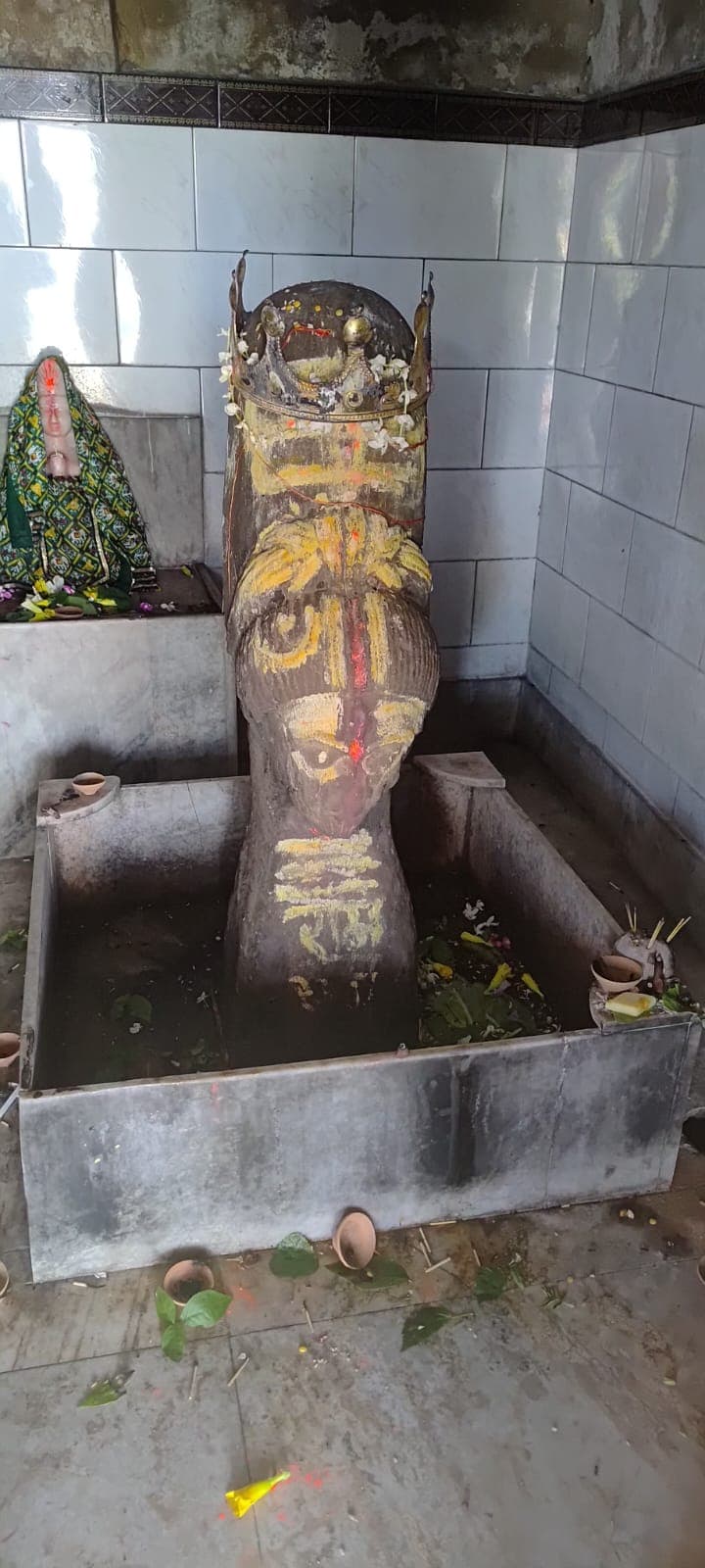 संकल्प दिवस